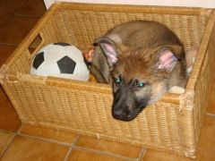 427909_512009812195373_415175207_n