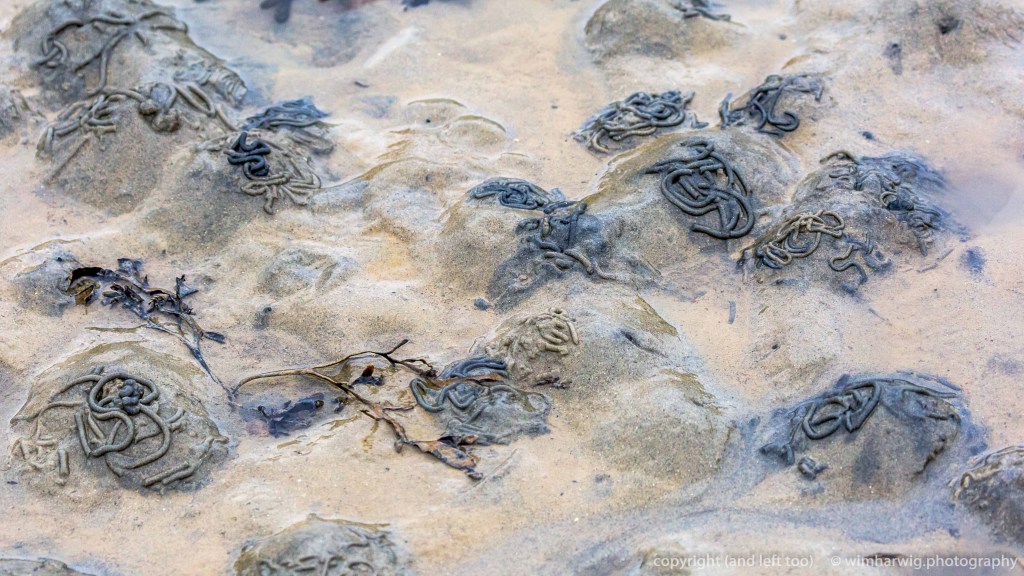 today we didn’t need the&nbsp;binoculars