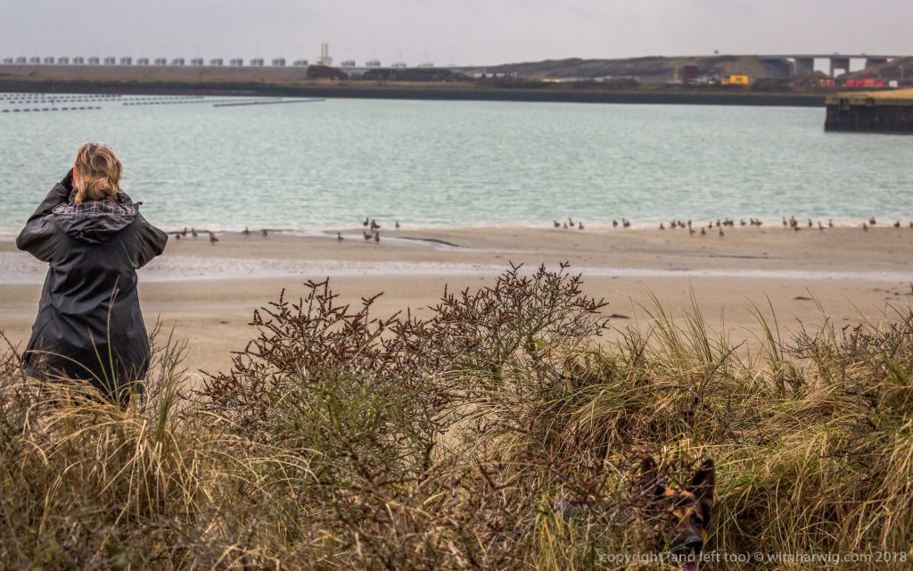 At least once a week we stumble across the island of Neeltje&nbsp;Jans.