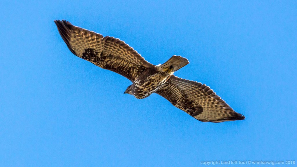 Sunday … my day to walk.