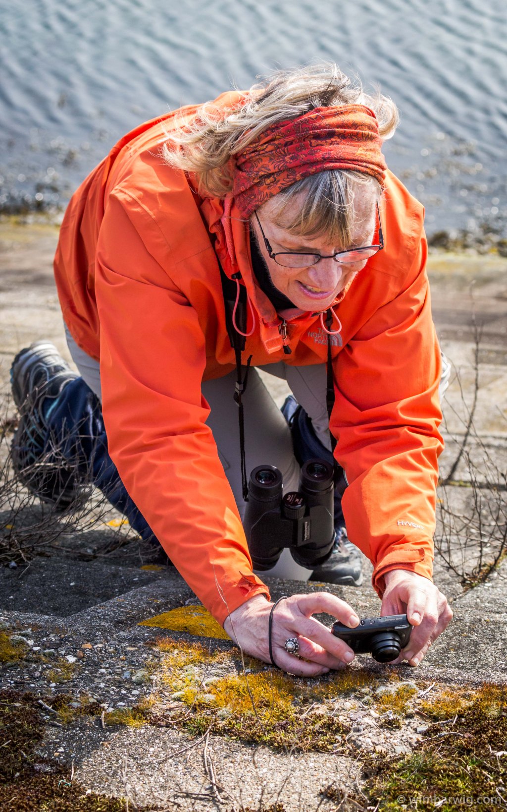 a walk with my girl and the guys …