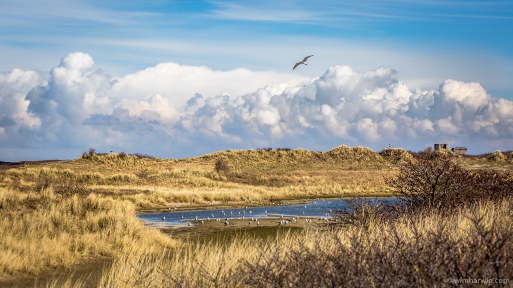 during the walk today …