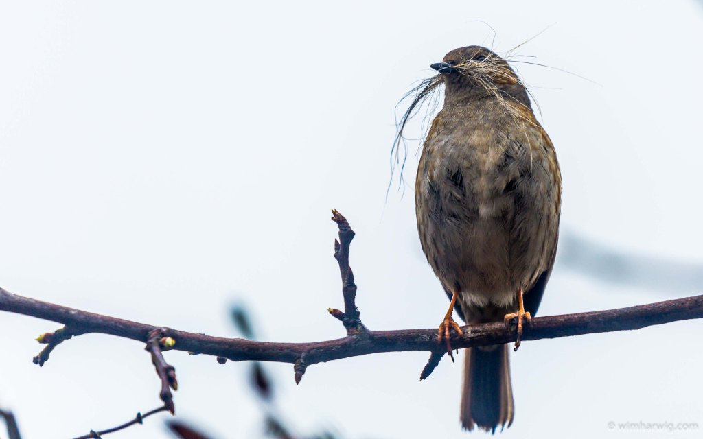 it’s that time of the year again …