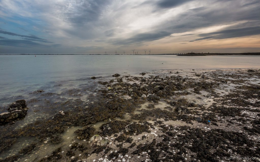 Spring at the Oosterschelde !