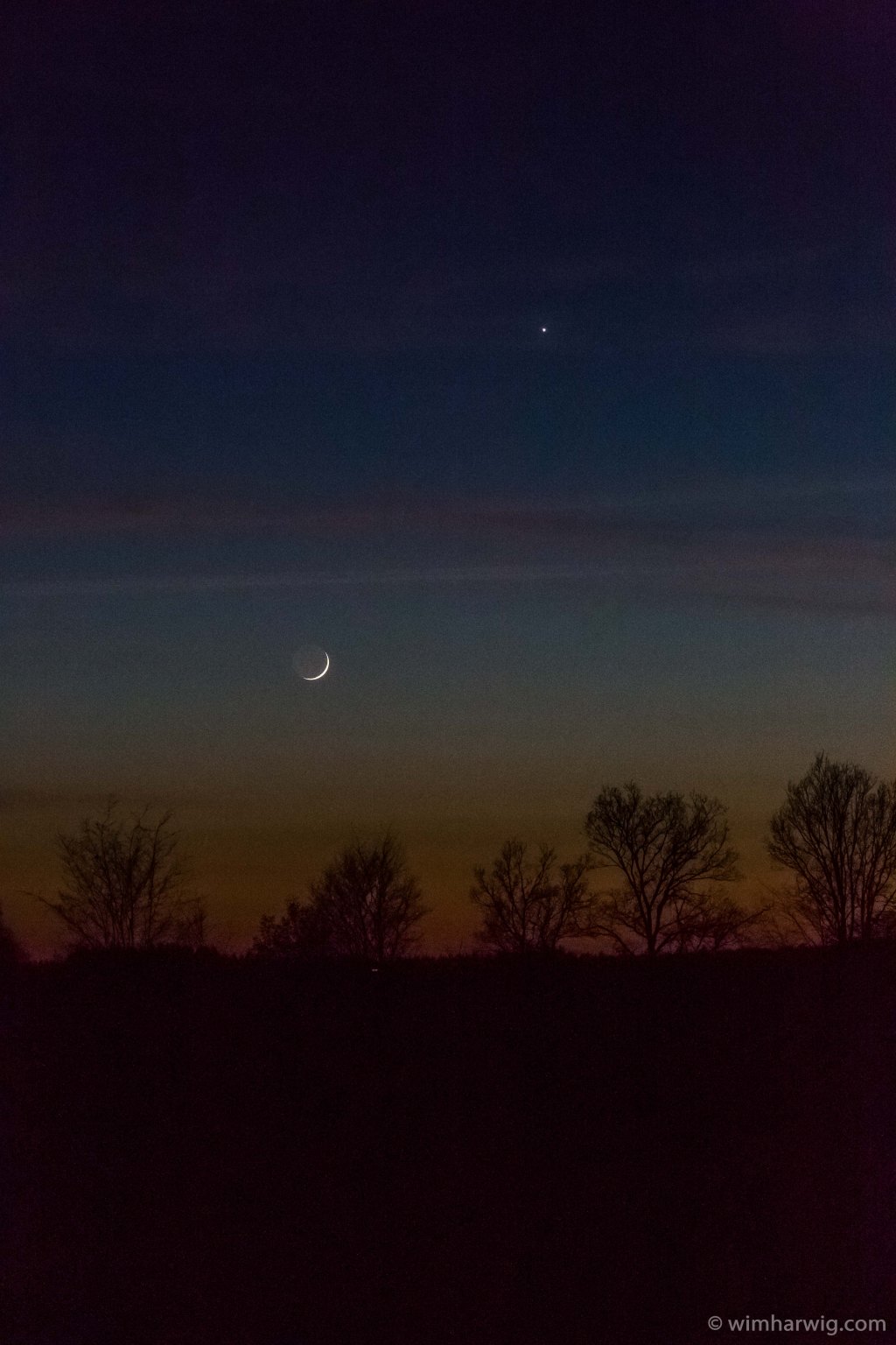 muscle pain in my calves …