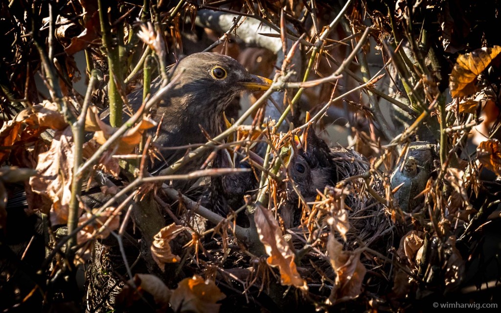 feels like they are my own children&nbsp;…