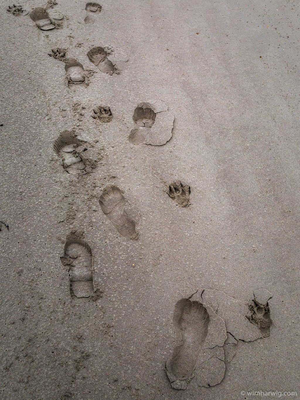only footprints