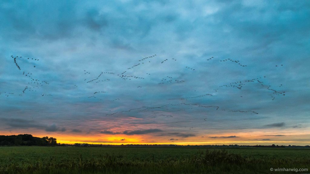 en route for the night&nbsp;shift