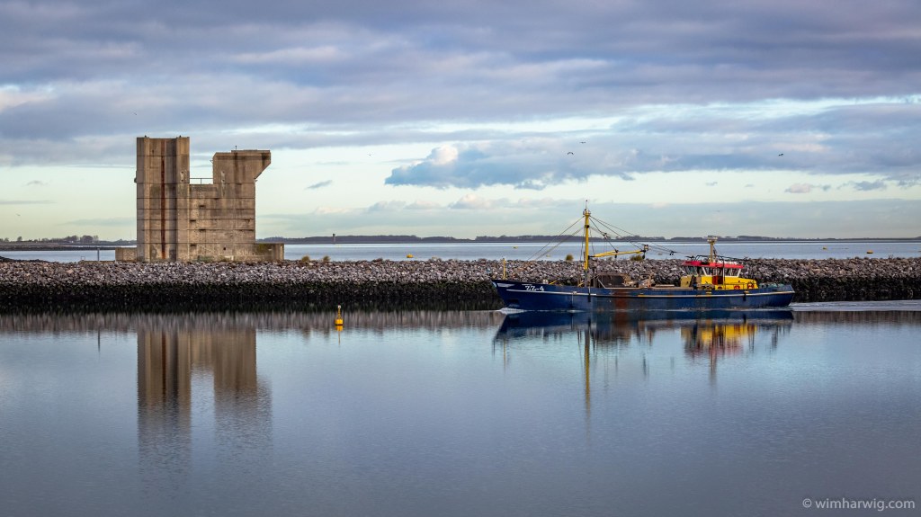 today was a good day for photography-lovers …