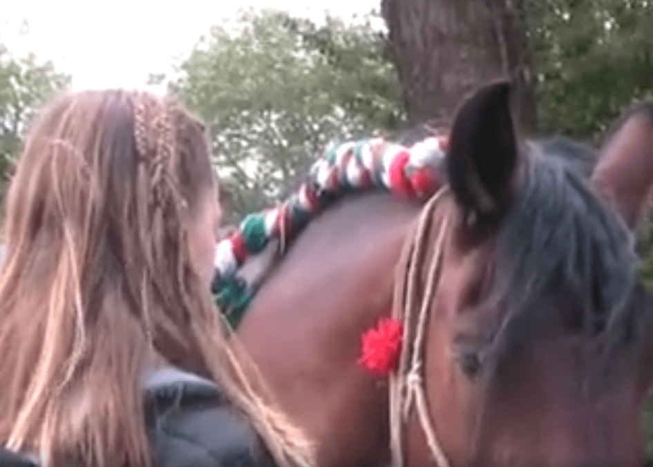 I found an old video in one of the corners of a forgotten memory&nbsp;card.