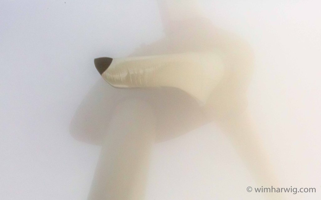 what photos would you make when walking the dog on a misty day&nbsp;?