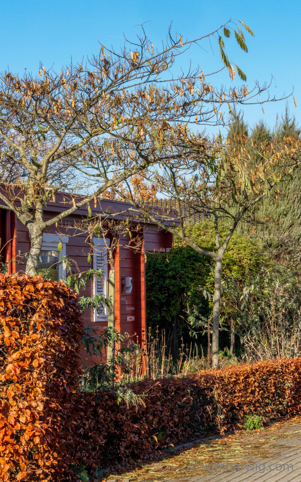 a late Indian Summer&nbsp;today