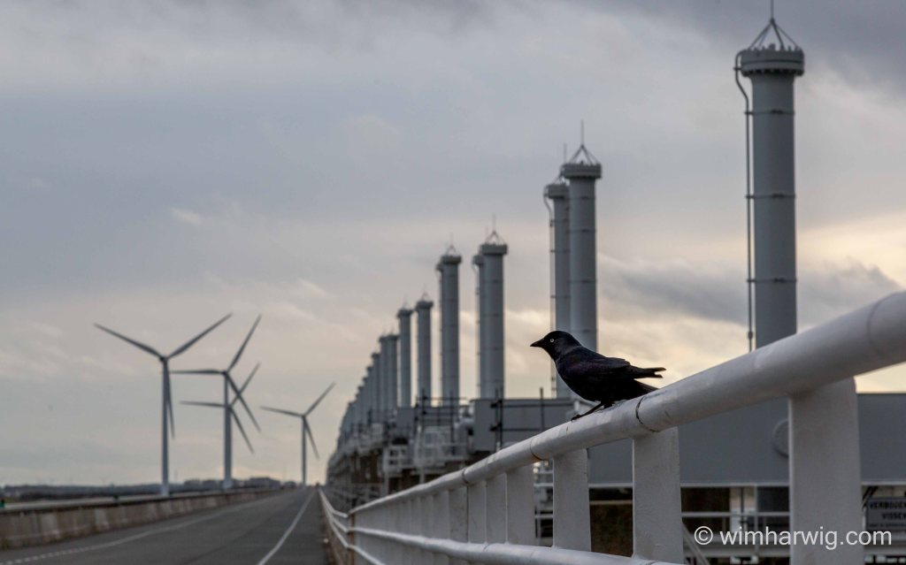 I was lucky&nbsp;today