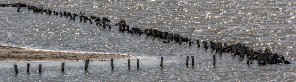 a ride through&nbsp;Zeeland