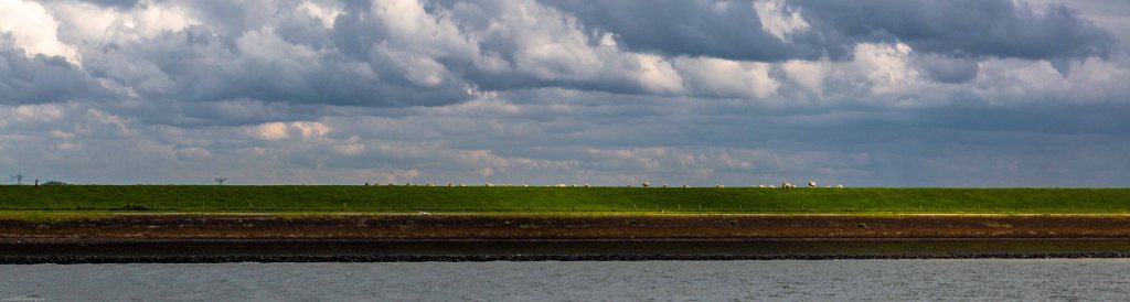 a bike ride along the Westerschelde
