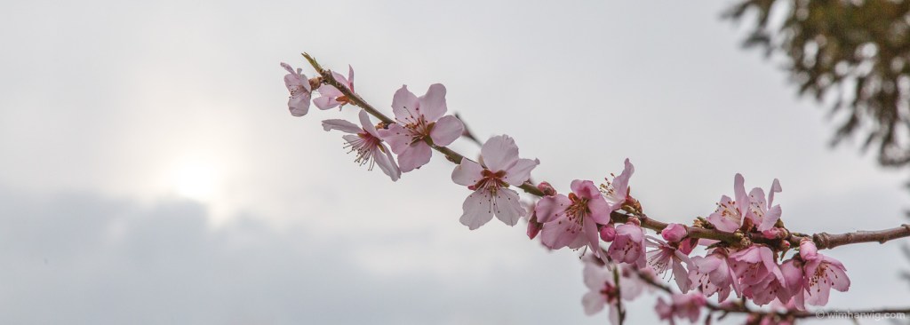 Our roof needs maintenance