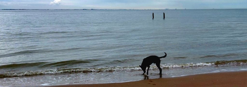 Even rust op het strand …